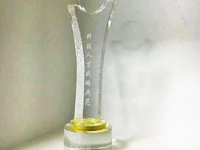 萬中萬科技人才戰(zhàn)略典范獎